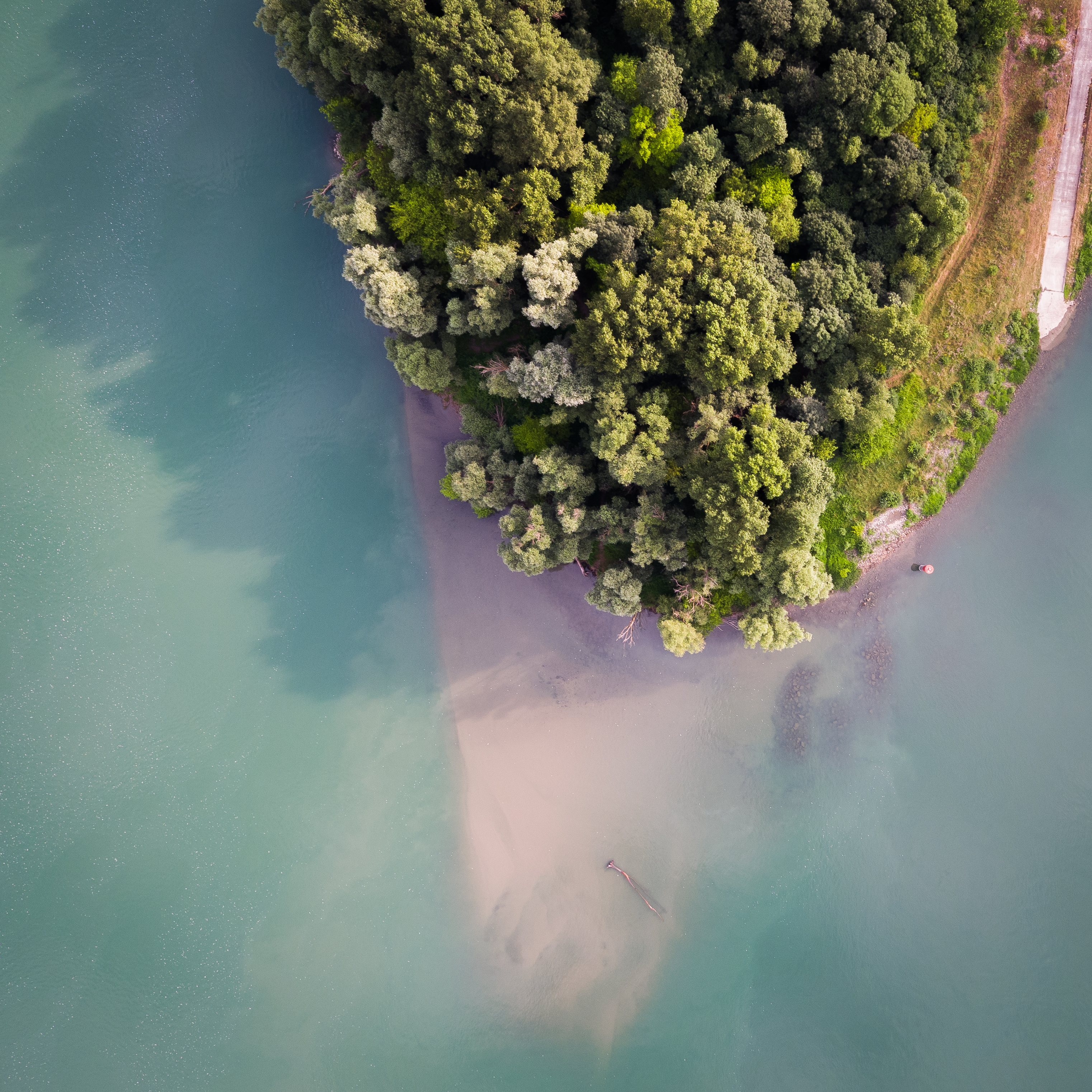 Biodiversité îles, lônes et coteaux du Rhône